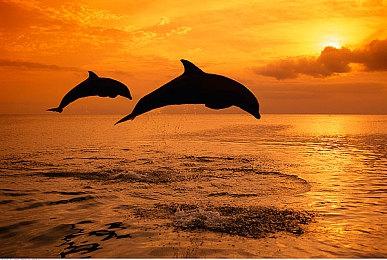 《劳拉与光之守护者》Switch移植版延期到2023年